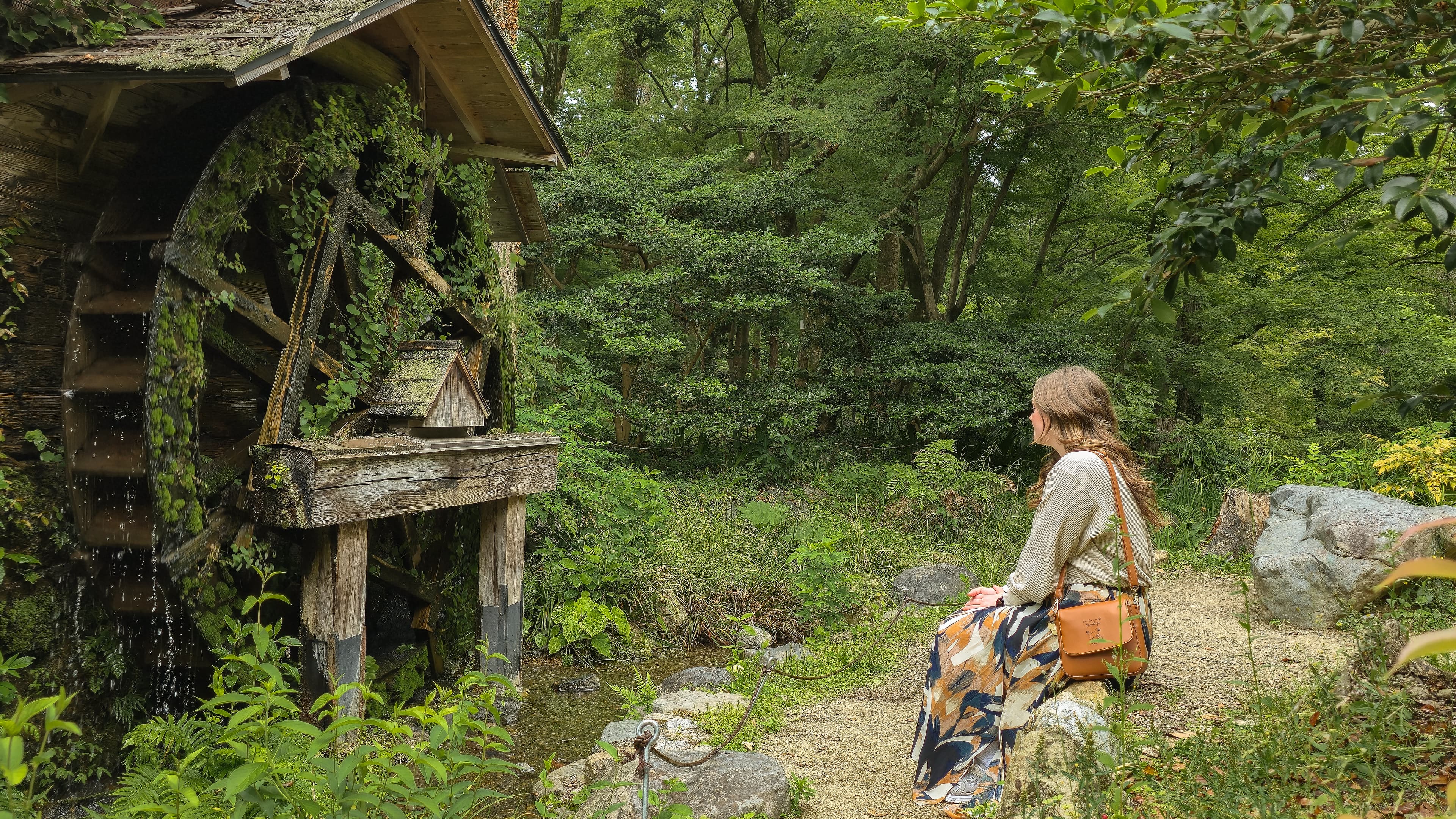 Kyoto Days